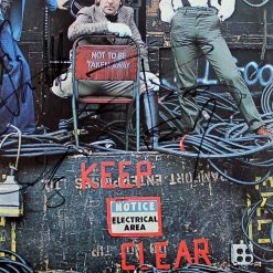 Rare-T Limited Edition Frames The Who - Who Are You Limited Signature Edition Studio Licensed Gold LP Custom Frame