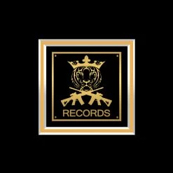 RARE-T Limited Edition Frames Tiger King Joe Exotic I Saw A Tiger Gold LP Limited Signature Edition Studio Licensed Custom Frame