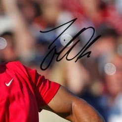 RARE-T Sports Memorabilia Tiger Woods 15 Majors Champion Photo Limited Signature Edition Studio Licensed Photo Custom Frame