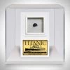 RARE-T Ancient Artifacts Titanic Coal Specimen From 1912 Custom Custom Museum Display