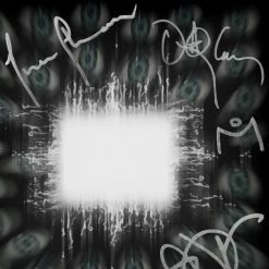 RARE-T Limited Edition Frames Tool Aenima LP Cover Limited Signature Edition Studio Licensed Custom Frame