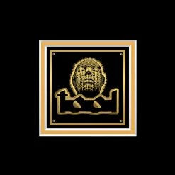 RARE-T Tool Lateralus Gold LP Limited Signature Edition Studio Licensed Custom Frame Limited Edition Frames