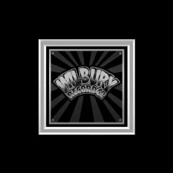 Rare-T Traveling Wilburys Volume 1 Limited Signature Edition Studio Licensed Platinum LP Custom Frame Limited Edition Frames