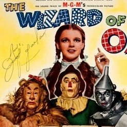 RARE-T Wizard Of Oz Soundtrack LP Cover Limited Signature Edition Studio Licensed Custom Frame Limited Edition Frames