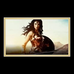 APW Wonder Woman- Hand-Signed Shield By Gal Gadot Custom Frame 10 APW Wonder Woman- Hand-Signed Shield By Gal Gadot Custom Frame