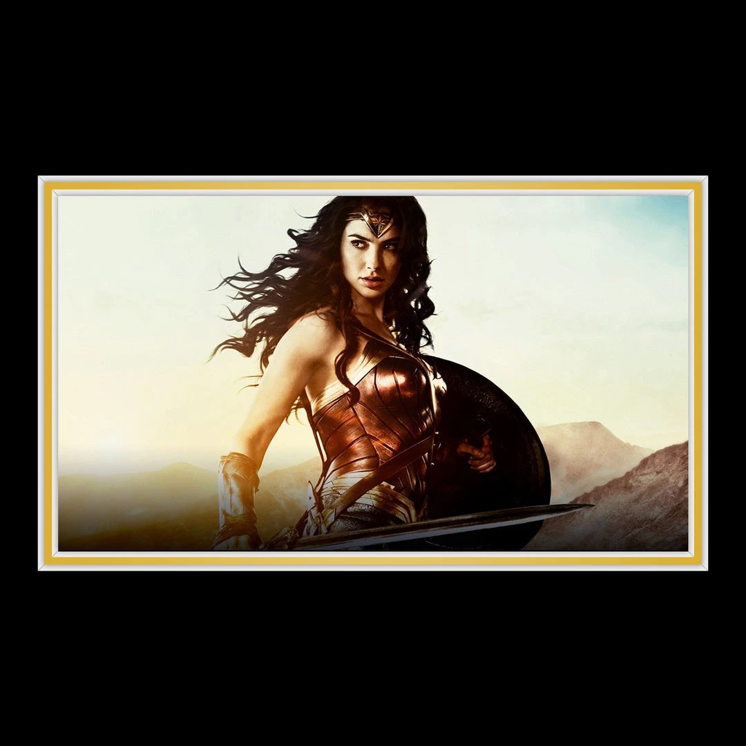APW Wonder Woman- Hand-Signed Shield By Gal Gadot Custom Frame 5 APW Wonder Woman- Hand-Signed Shield By Gal Gadot Custom Frame
