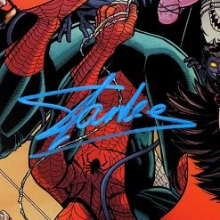 RARE-T Spider-Man & The X-Men #1 Stan Lee Limited Signature Edition Comic Book Cover Art Custom Frame