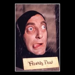 RARE-T Young Frankenstein Script Limited Signature Edition Studio Licensed Custom Frame