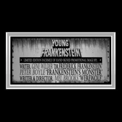RARE-T Young Frankenstein Wilder, Boyle & Brooks Photo Limited Signature Edition Licensed Custom Frame